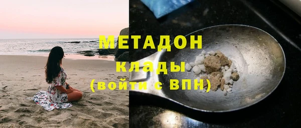 прущие грибы Алексеевка