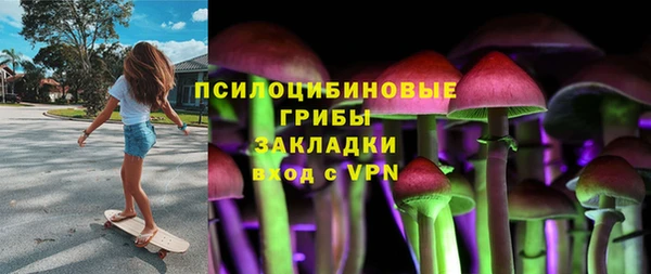 прущие грибы Алексеевка