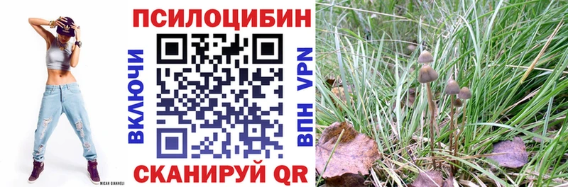 KRAKEN ссылка  Курлово  Псилоцибиновые грибы Magic Shrooms  цена  